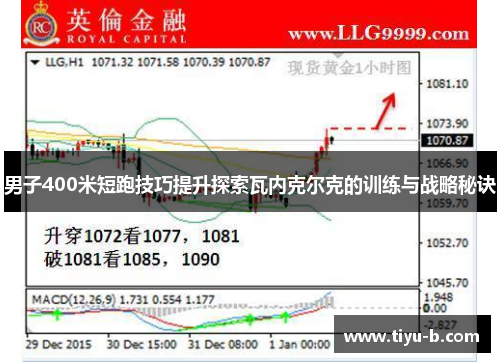 男子400米短跑技巧提升探索瓦内克尔克的训练与战略秘诀