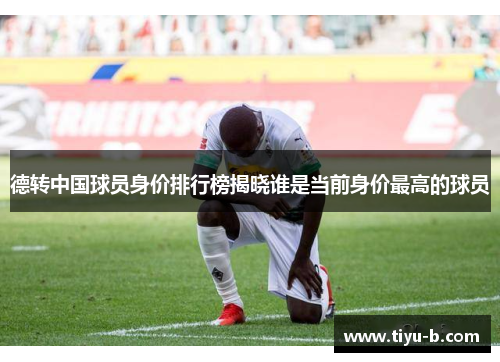 德转中国球员身价排行榜揭晓谁是当前身价最高的球员