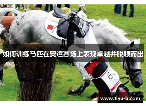 如何训练马匹在奥运赛场上表现卓越并脱颖而出