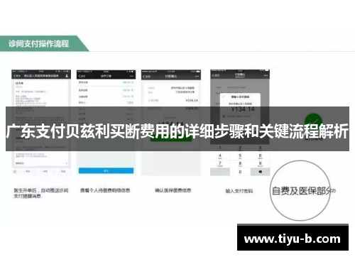 广东支付贝兹利买断费用的详细步骤和关键流程解析