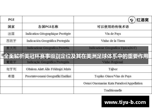 全面解析美冠杯赛事级别定位及其在美洲足球体系中的重要作用