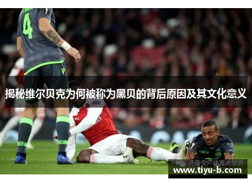 揭秘维尔贝克为何被称为黑贝的背后原因及其文化意义