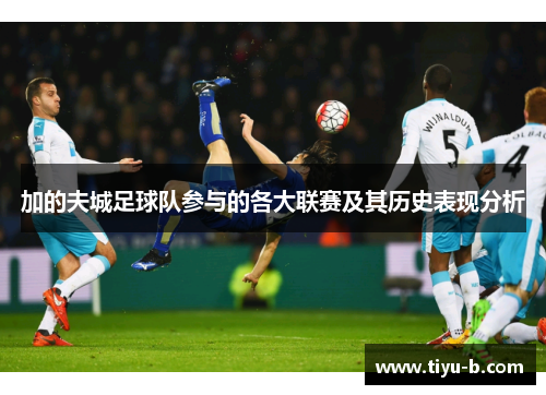 加的夫城足球队参与的各大联赛及其历史表现分析